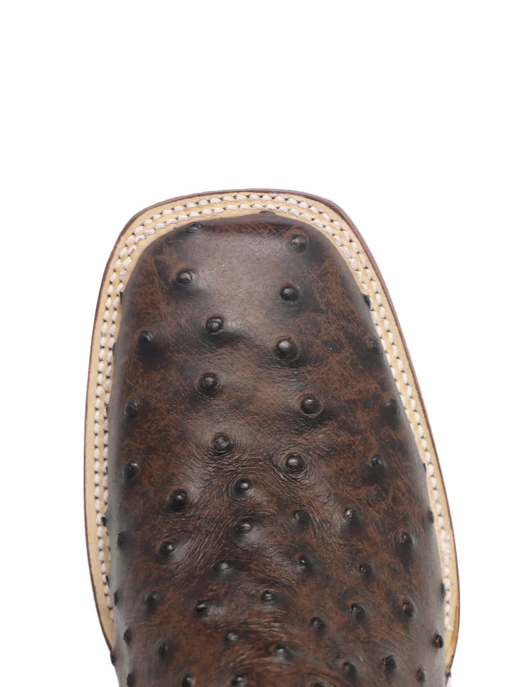 Matte Brown Ostrich Print Square Toe TM205525 Tanner Mark - Colt Boots and Western Wear